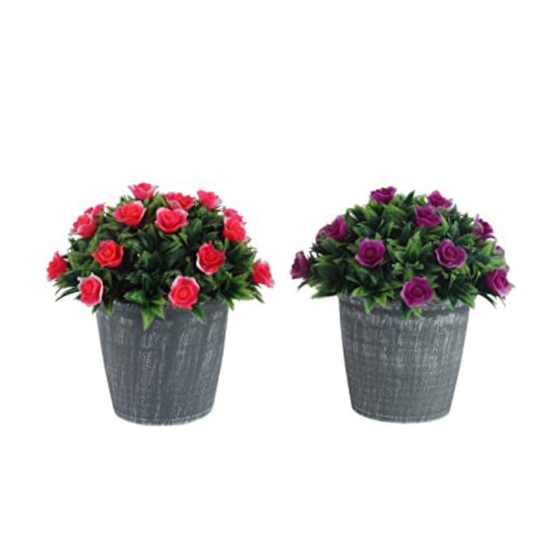 Buy Opra Faux Plant In Garcia Pot - Set Of Two Artificial Flowers from Vaaree