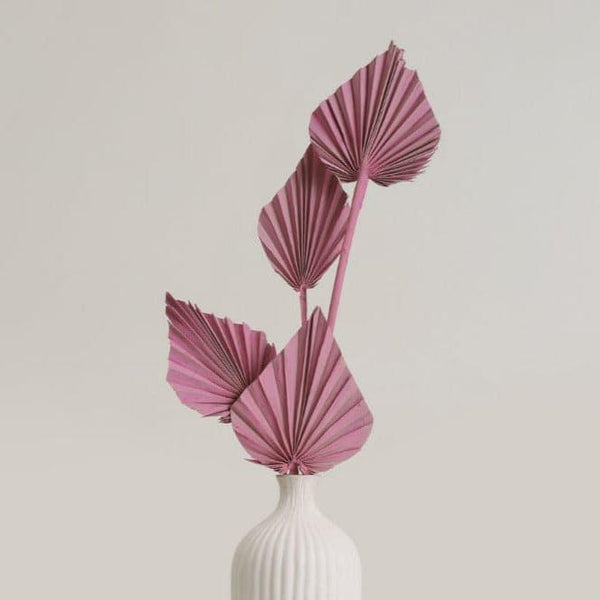 Artificial Flowers - Palzi Dried Palm Stick (Pink) - Set Of Five
