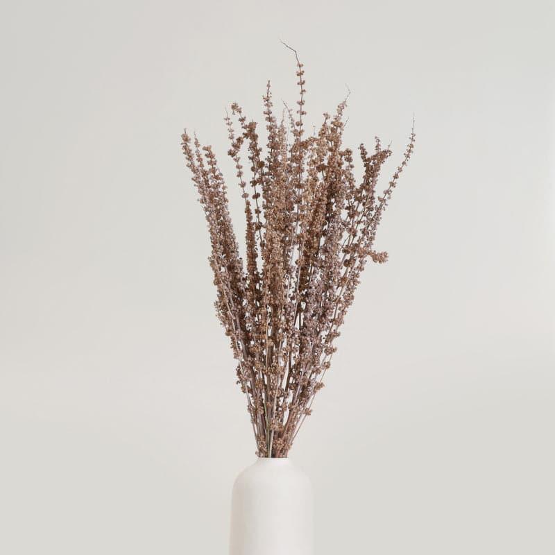 Buy Plato Dried Palm Millet Grass Bunch - Beige Artificial Flowers from Vaaree