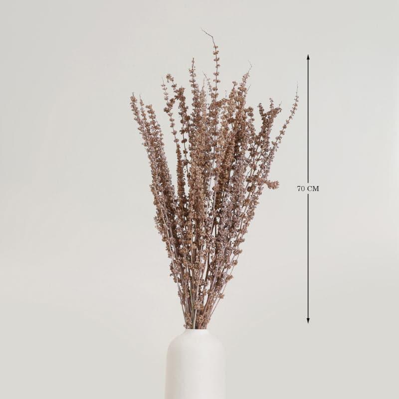 Buy Plato Dried Palm Millet Grass Bunch - Beige Artificial Flowers from Vaaree