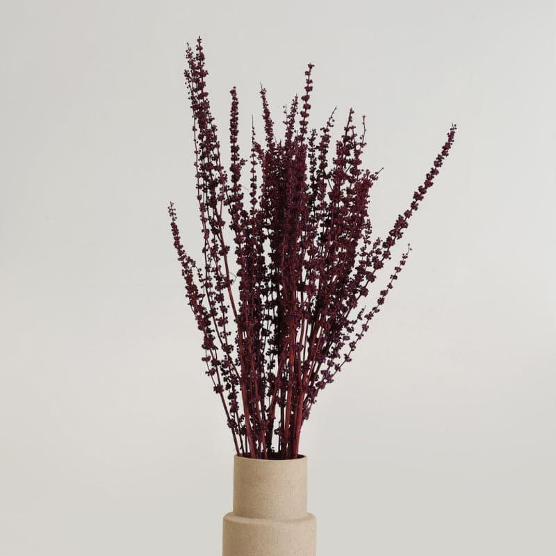 Buy Plato Millet Grass Dried Palm Grass Bunch - Red Artificial Flowers from Vaaree