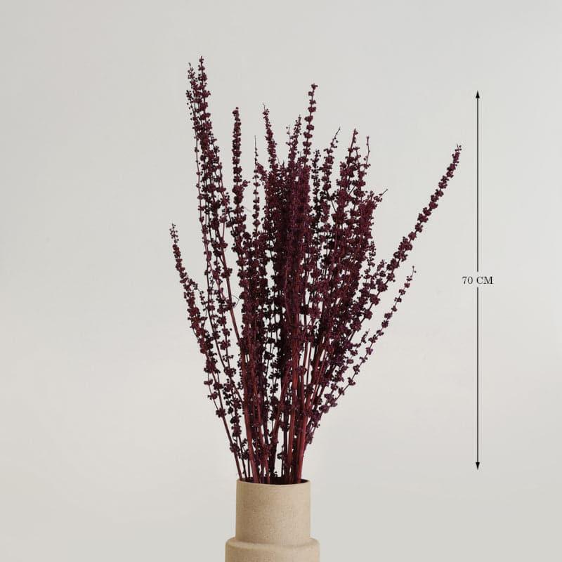 Buy Plato Millet Grass Dried Palm Grass Bunch - Red Artificial Flowers from Vaaree