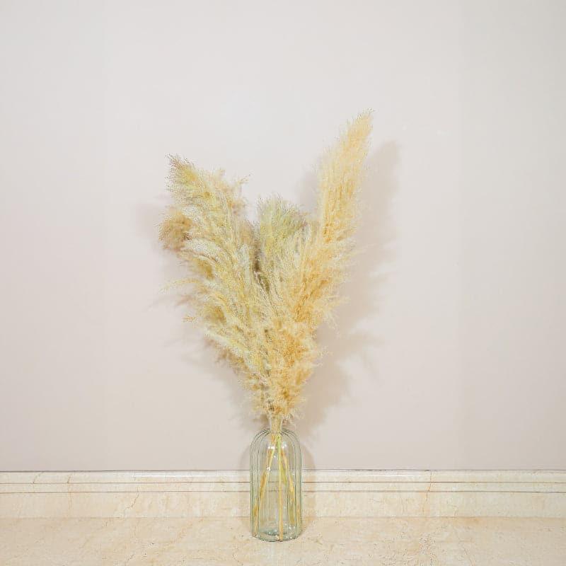 Buy Pomi Naturally Dried Pampas Stick (Cream) - Set Of Five Artificial Flowers from Vaaree