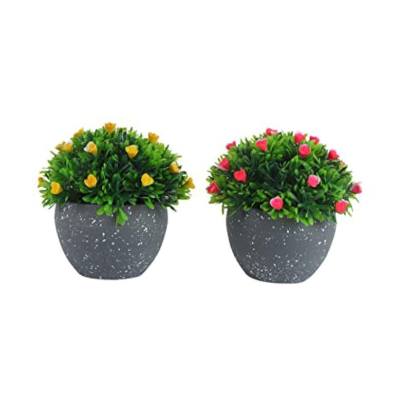 Artificial Plants - Abel Faux Plant In Endor Pot (12 cms) - Set Of Two