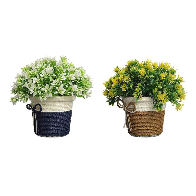 Buy (Blue & Brown) Alba Faux Plant In Basket Pot (17 cms) - Set Of Two Artificial Plants from Vaaree