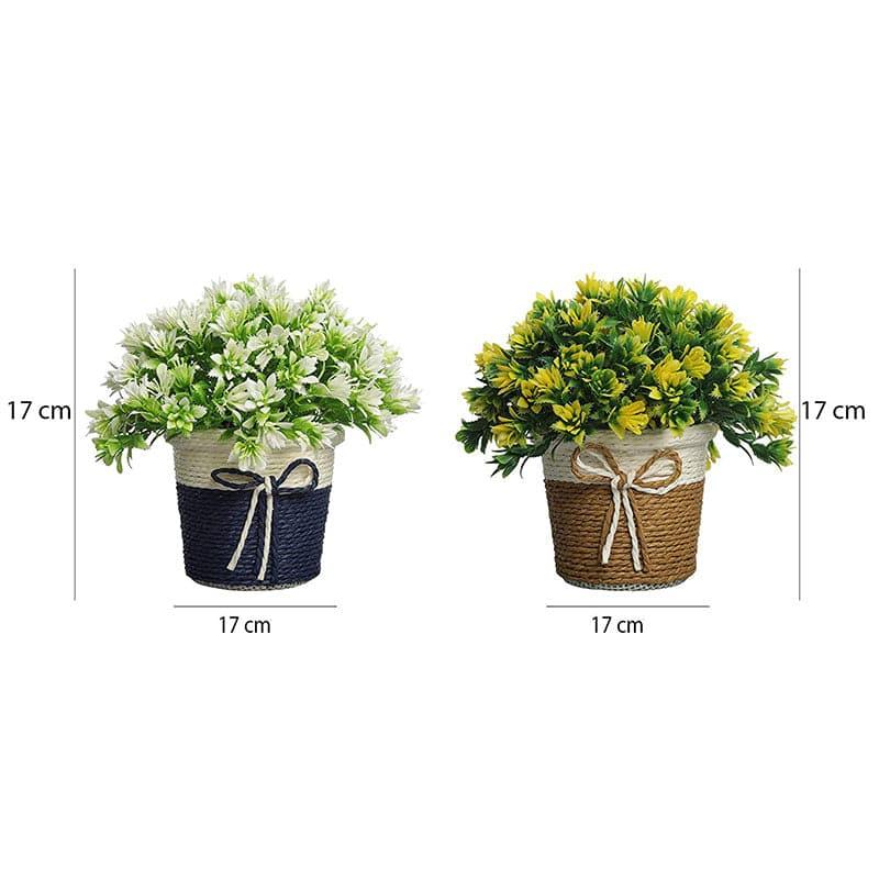 Buy (Blue & Brown) Alba Faux Plant In Basket Pot (17 cms) - Set Of Two Artificial Plants from Vaaree