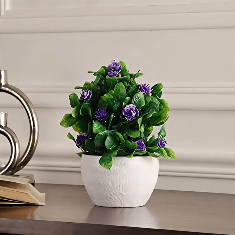 Artificial Plants - Belar Faux Plant In Venda Pot - 22 cms