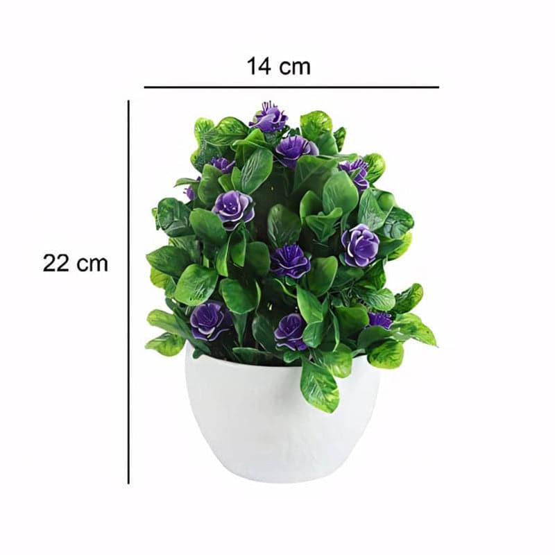 Artificial Plants - Belar Faux Plant In Venda Pot - 22 cms