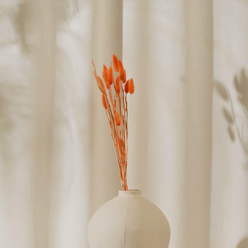 Buy Bunny Tail Ornamental Grass (60 cms) - Orange Artificial Flowers from Vaaree