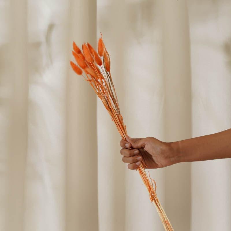 Buy Bunny Tail Ornamental Grass (60 cms) - Orange Artificial Flowers from Vaaree