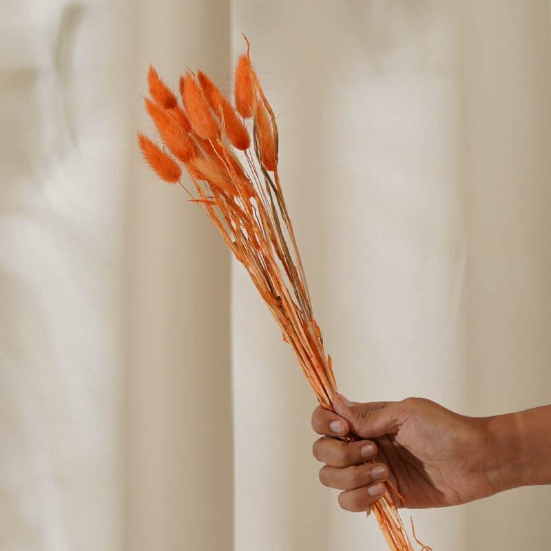 Buy Bunny Tail Ornamental Grass (60 cms) - Orange Artificial Flowers from Vaaree