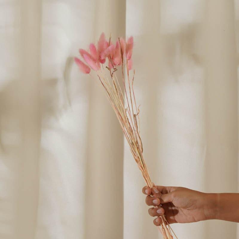 Buy Bunny Tail Ornamental Grass (60 cms) - Pink Artificial Flowers from Vaaree