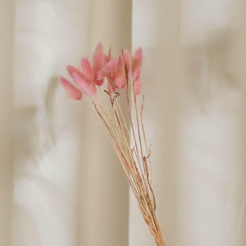 Buy Bunny Tail Ornamental Grass (60 cms) - Pink Artificial Flowers from Vaaree