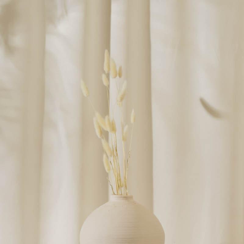 Artificial Plants - Bunny Tail Ornamental Grass (60 cms) - White