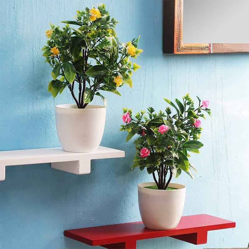 Artificial Plants - Calissa Faux Plant In Kira Pot (28 cms) - Set Of Two