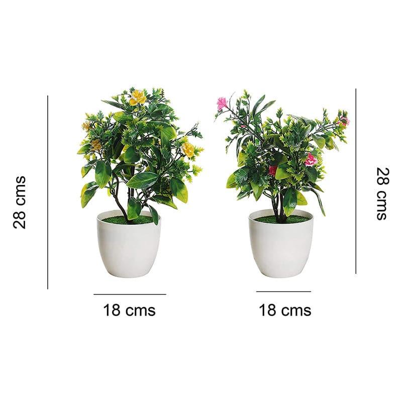 Artificial Plants - Calissa Faux Plant In Kira Pot (28 cms) - Set Of Two