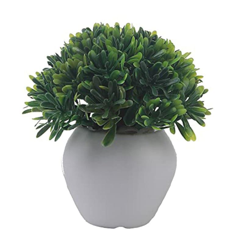 Buy Chlora Faux Plant In Apple Pot (12 cms) - Set Of Three Artificial Plants from Vaaree