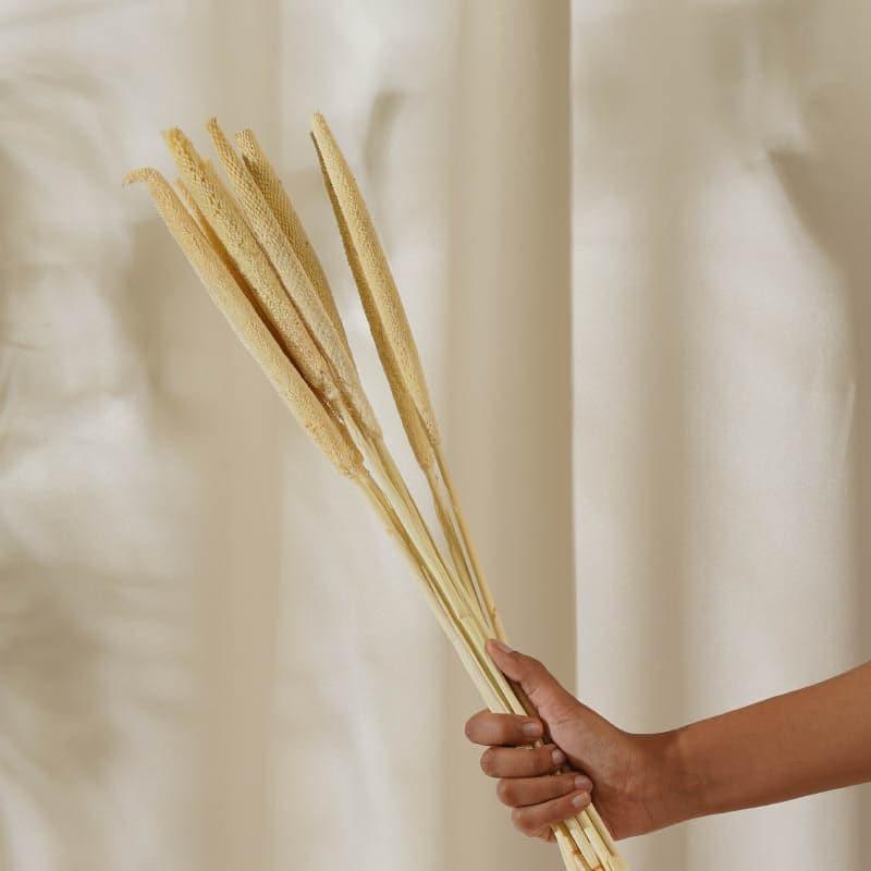 Buy Dried Bajra Stems (2.46 ft) - Bleach Artificial Flowers from Vaaree