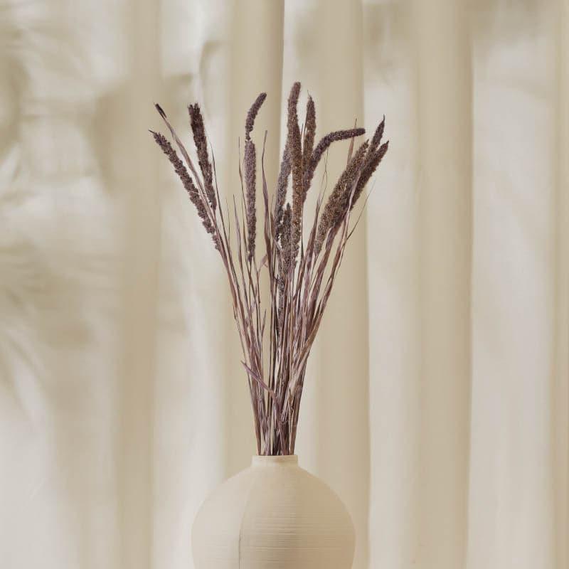 Buy (Purple) Dried Millet Grass Stems (2.3 ft) - Set Of Twenty Stems Artificial Flowers from Vaaree