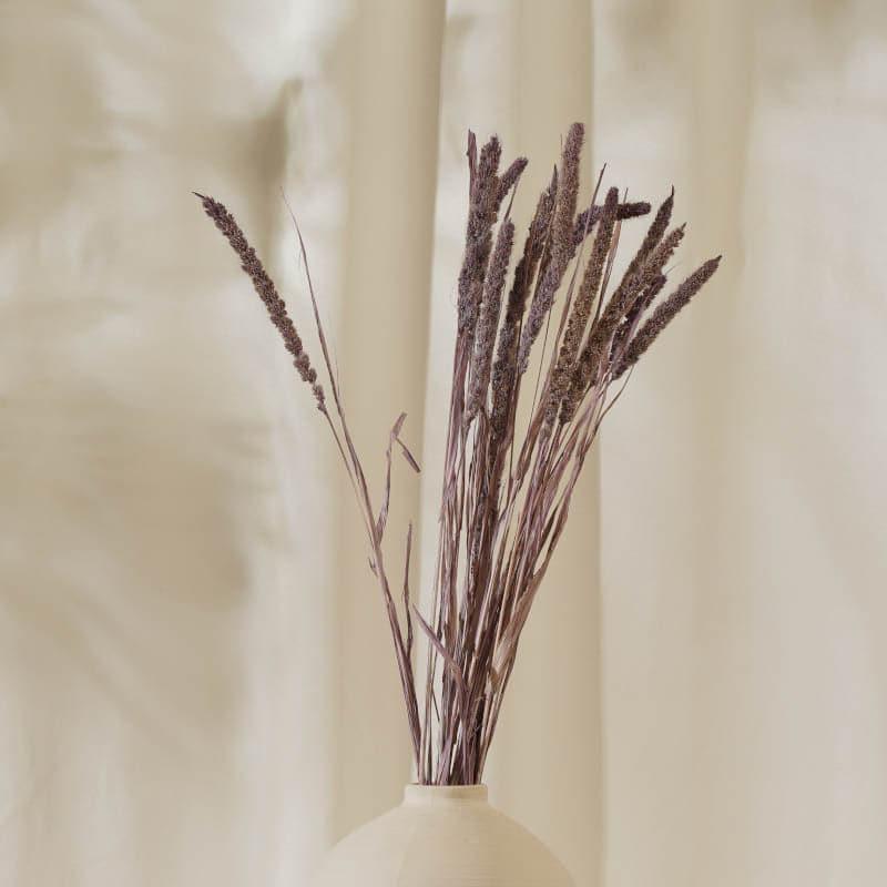 Buy (Purple) Dried Millet Grass Stems (2.3 ft) - Set Of Twenty Stems Artificial Flowers from Vaaree