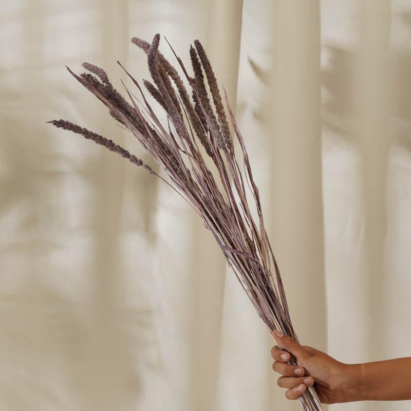 Buy (Purple) Dried Millet Grass Stems (2.3 ft) - Set Of Twenty Stems Artificial Flowers from Vaaree