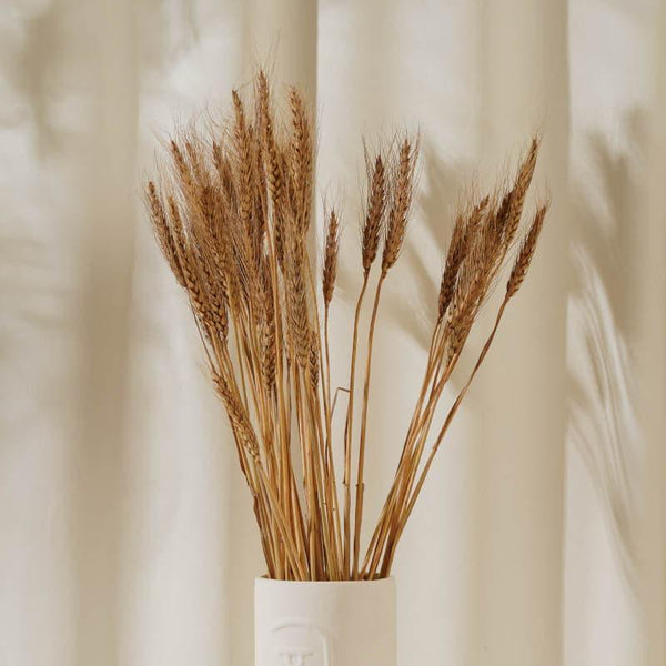 Artificial Plants - (Brown) Dried Wheat (60 cms) - Set Of Fifty Stems