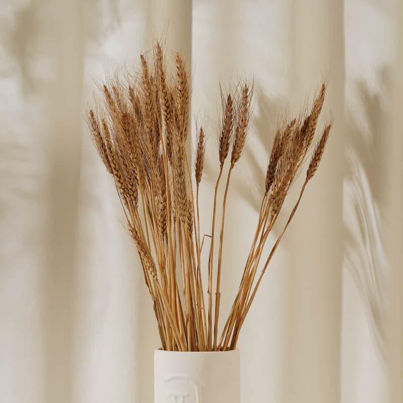 Buy (Brown) Dried Wheat (60 cms) - Set Of Fifty Stems Artificial Flowers from Vaaree