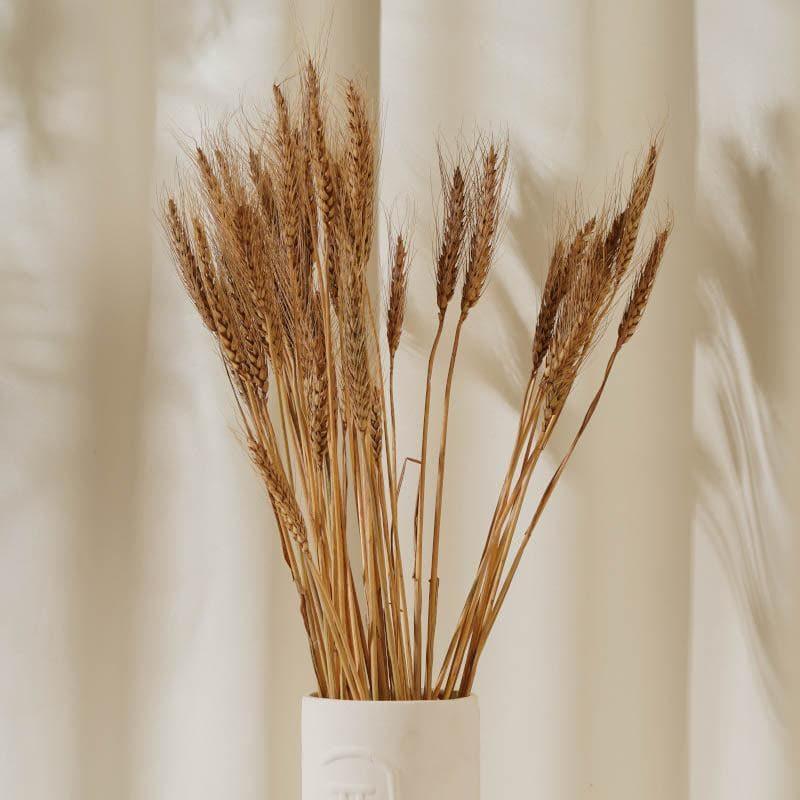 Buy (Brown) Dried Wheat (60 cms) - Set Of Twenty Five Stems Artificial Flowers from Vaaree