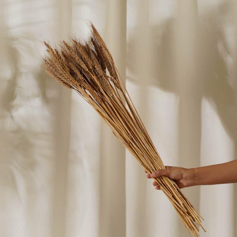 Buy (Brown) Dried Wheat (60 cms) - Set Of Twenty Five Stems Artificial Flowers from Vaaree