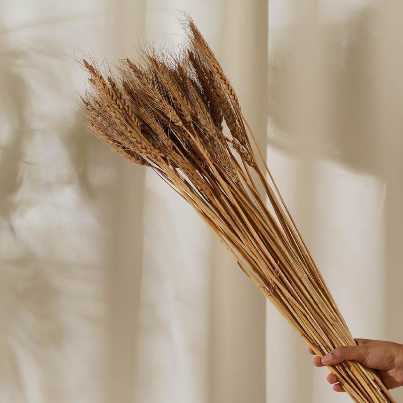 Buy (Brown) Dried Wheat (60 cms) - Set Of Twenty Five Stems Artificial Flowers from Vaaree