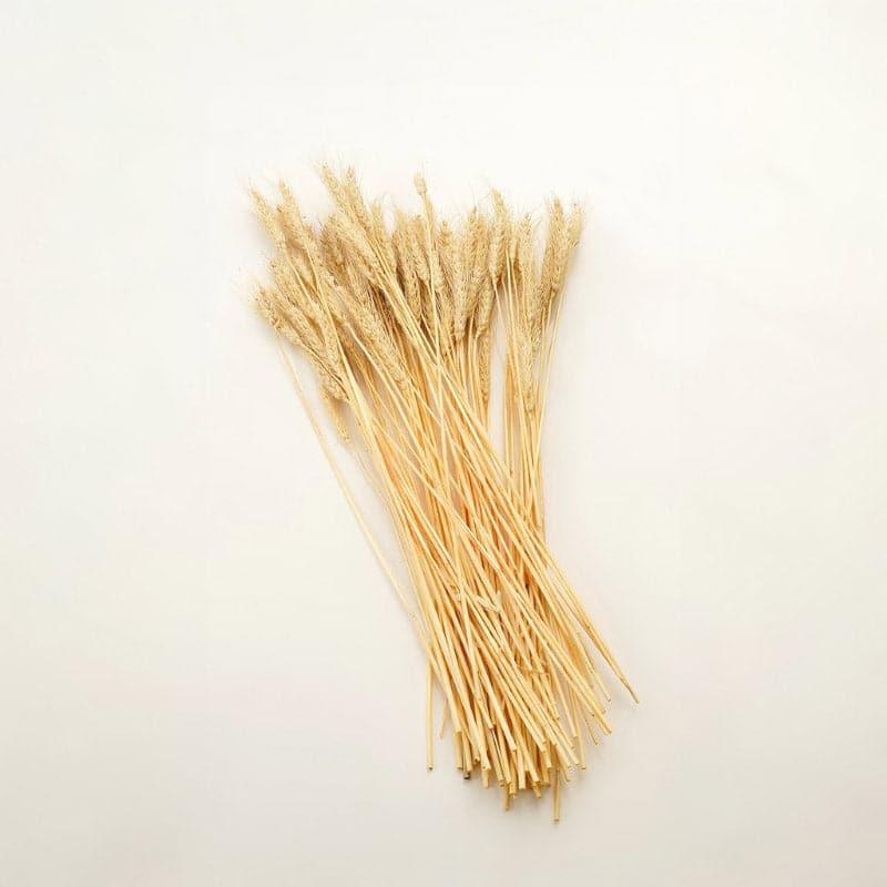 Artificial Plants - (Beige) Dried Wheat Stems (60 cms) - Set Of Twenty Five