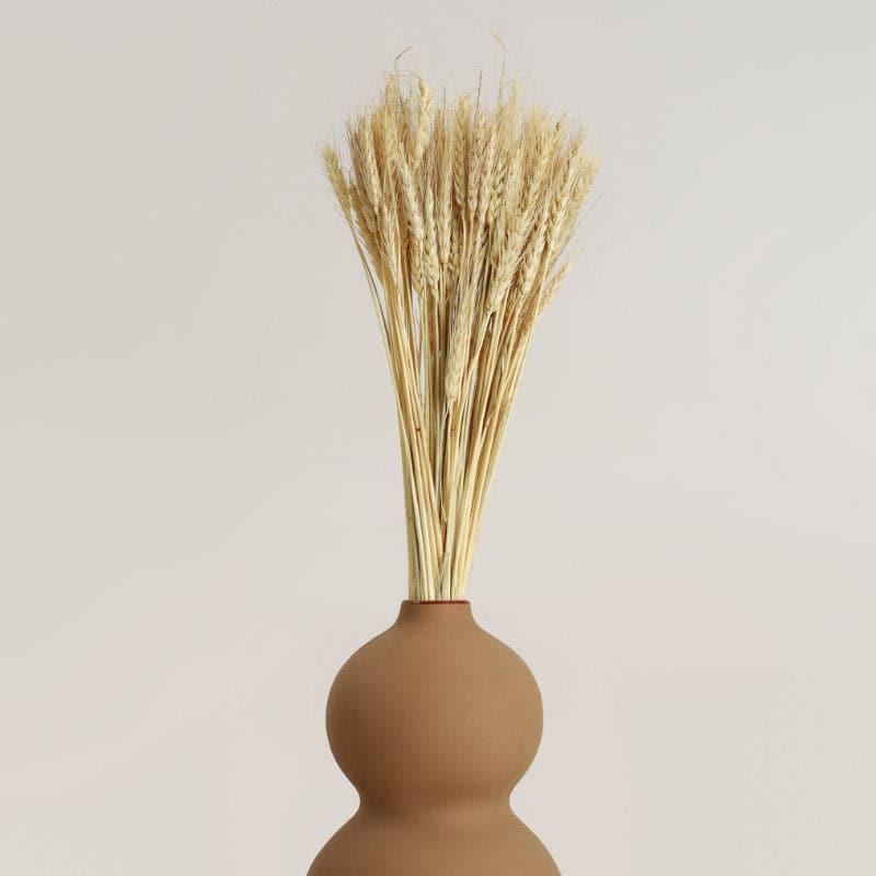 Artificial Plants - (Beige) Dried Wheat Stems (60 cms) - Set Of Twenty Five