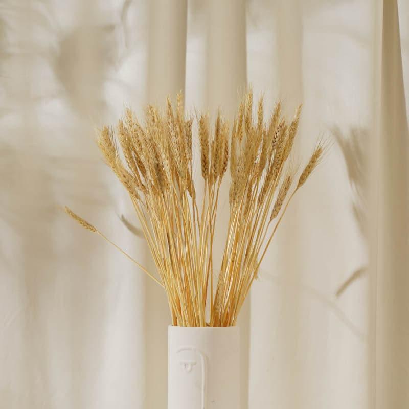 Buy Dried Wheat Stems (60 cms) - Yellow Artificial Flowers from Vaaree