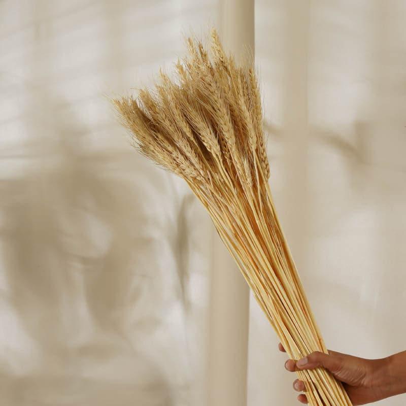 Buy Dried Wheat Stems (60 cms) - Yellow Artificial Flowers from Vaaree