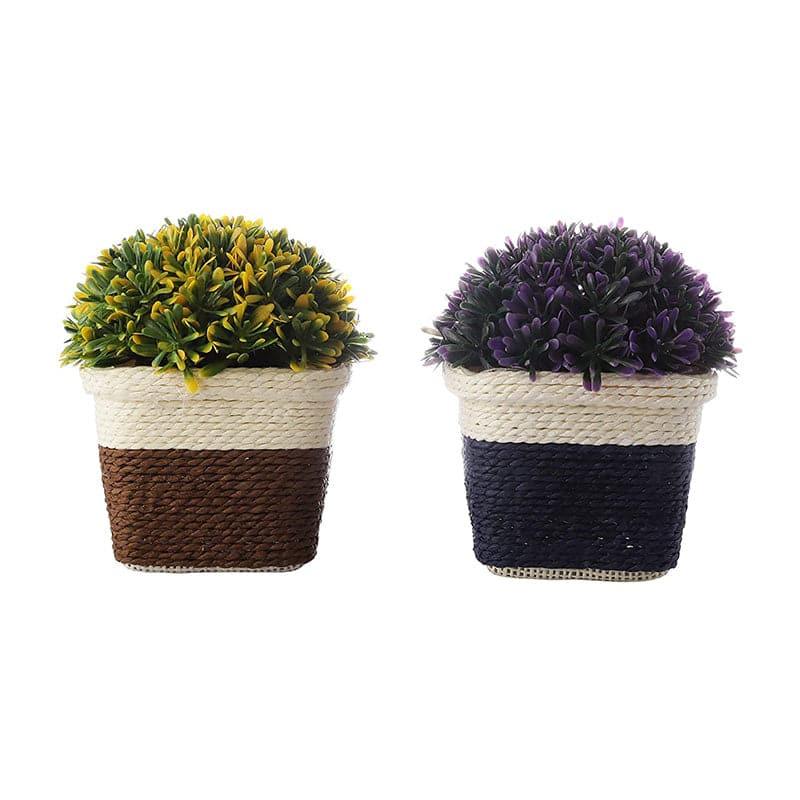 Artificial Plants - (Blue & Brown) Faux Abelia In Basket Pot (14 cms) - Set Of Two