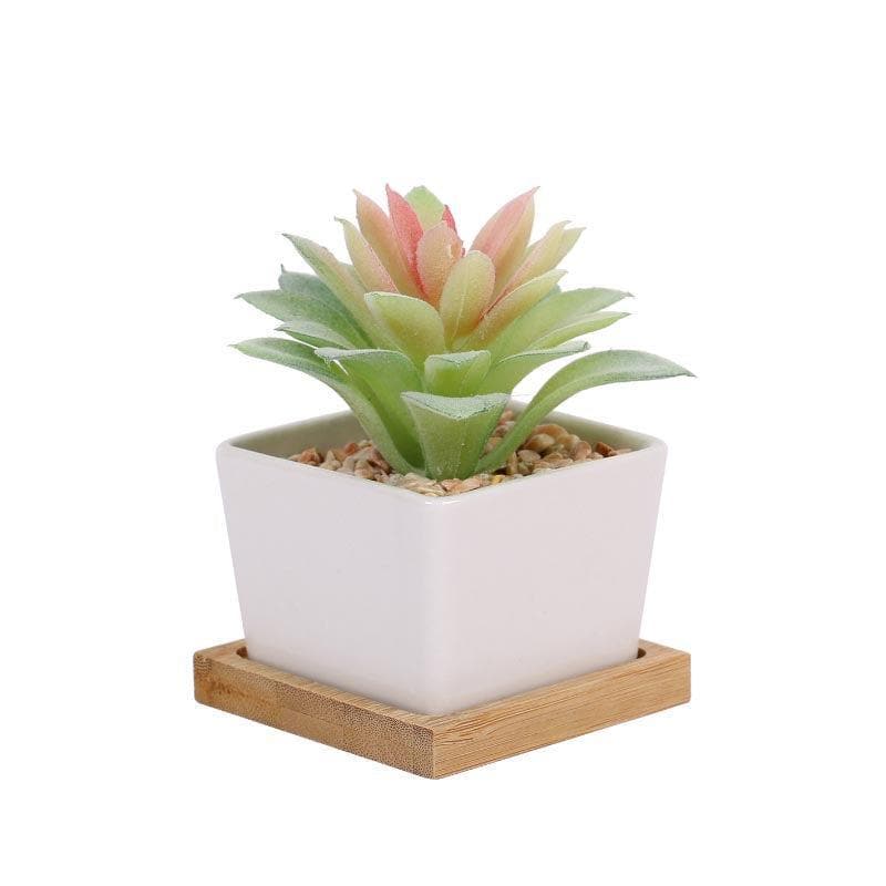 Buy Faux Aeonium In Square Pot - 10.5 cms Artificial Plants from Vaaree