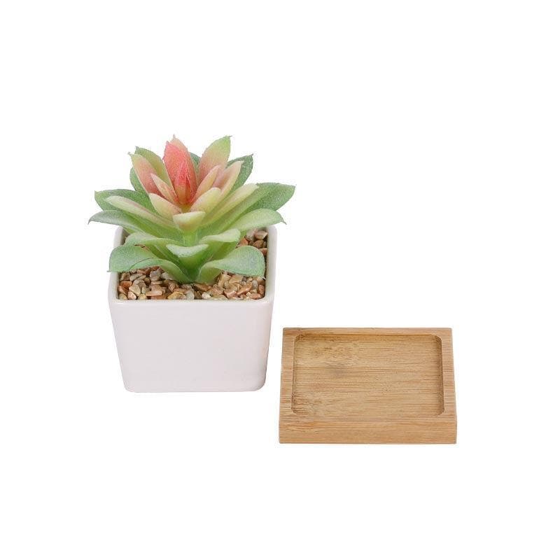 Buy Faux Aeonium In Square Pot - 10.5 cms Artificial Plants from Vaaree