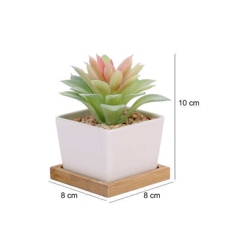 Buy Faux Aeonium In Square Pot - 10.5 cms Artificial Plants from Vaaree