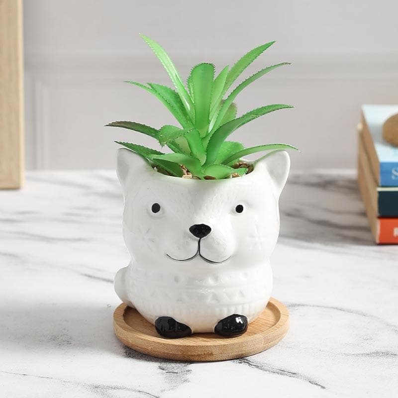 Buy Faux Agave In Foxy Face Pot - 12.5 cms Artificial Plants from Vaaree