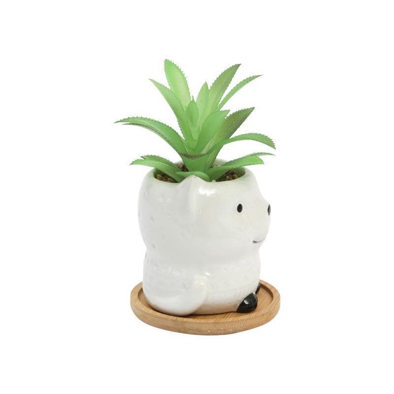 Artificial Plants - Faux Agave In Foxy Face Pot - 12.5 cms