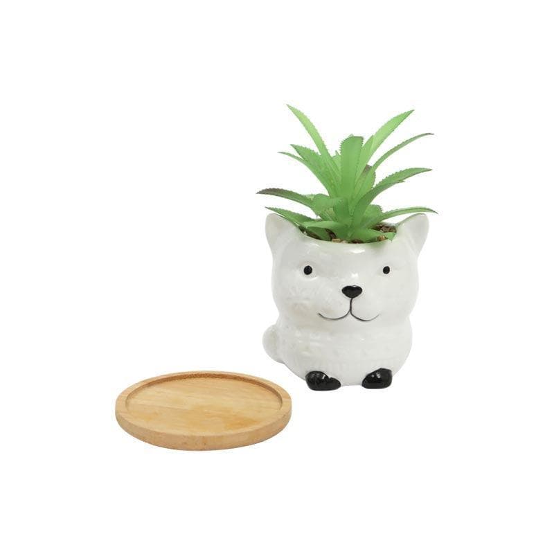 Artificial Plants - Faux Agave In Foxy Face Pot - 12.5 cms