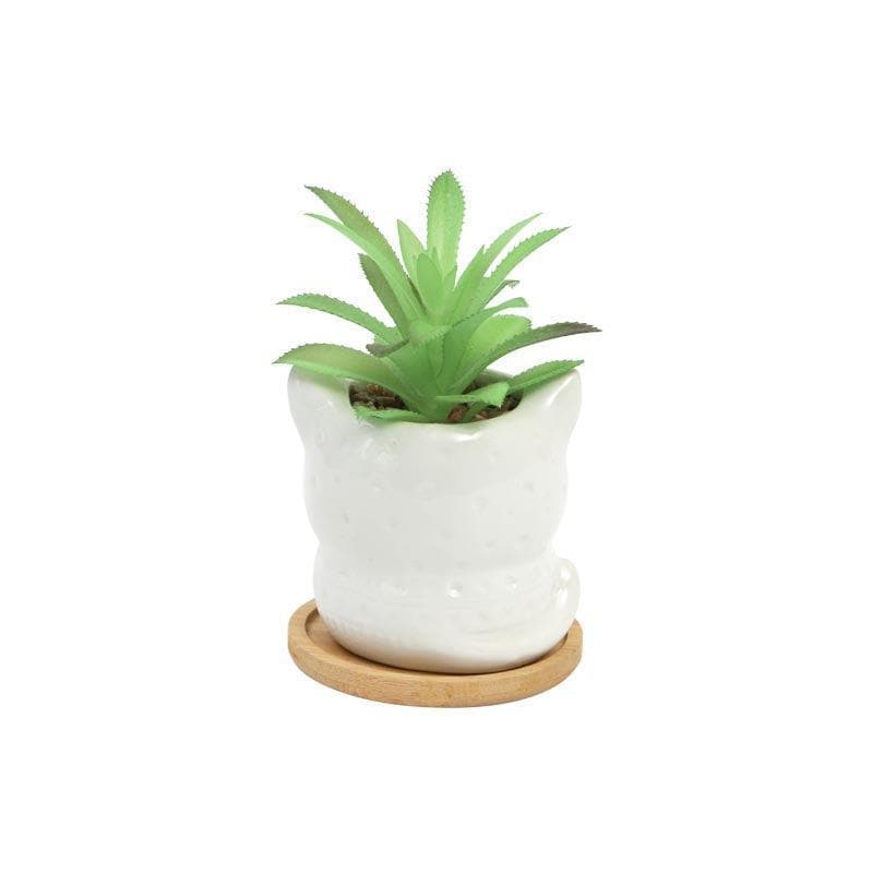 Artificial Plants - Faux Agave In Foxy Face Pot - 12.5 cms