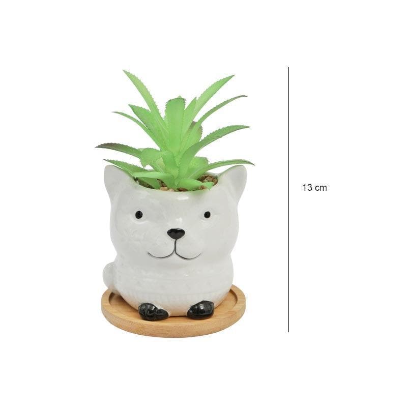 Artificial Plants - Faux Agave In Foxy Face Pot - 12.5 cms