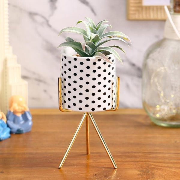 Buy Faux Agave In Geo Pot With Tripod - 20 cms Artificial Plants from Vaaree