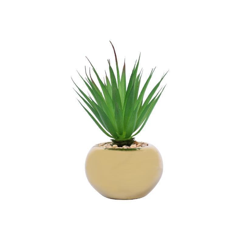 Buy Faux Agave In Round Ceramic Pot - 14.5 cms Artificial Plants from Vaaree