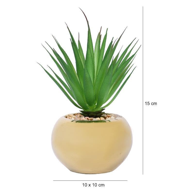 Buy Faux Agave In Round Ceramic Pot - 14.5 cms Artificial Plants from Vaaree