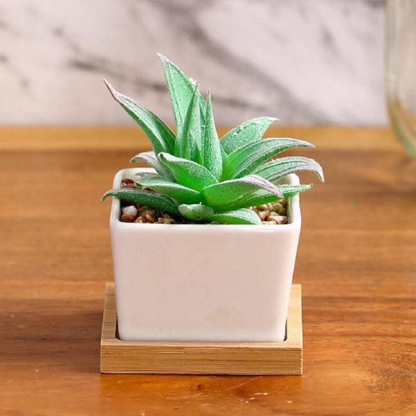 Artificial Plants - Faux Agave In Square Pot - 9.5 cms