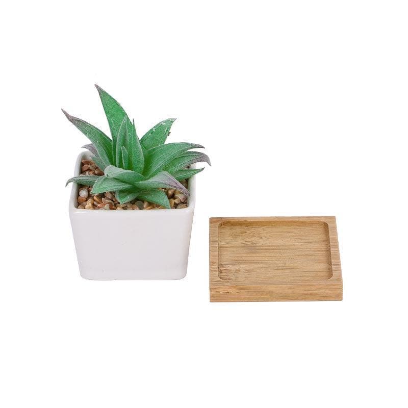 Artificial Plants - Faux Agave In Square Pot - 9.5 cms