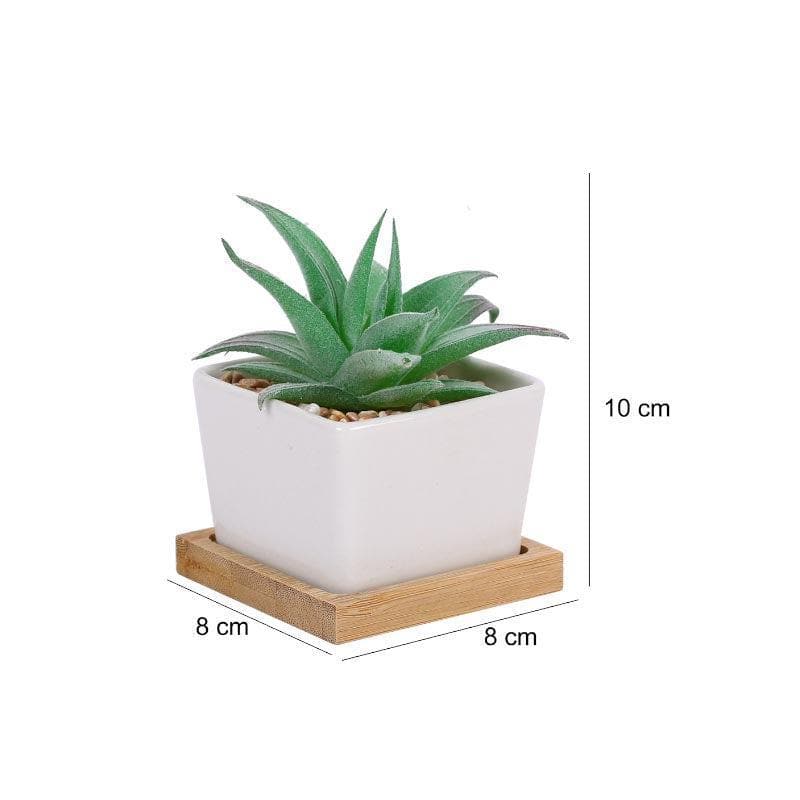 Artificial Plants - Faux Agave In Square Pot - 9.5 cms