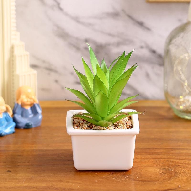 Artificial Plants - Faux Agave In White Pot - 14.5 cms